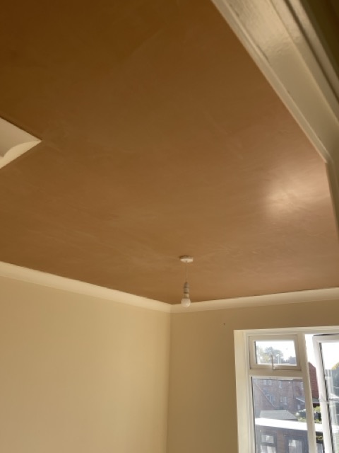 Artex Ceiling Removal